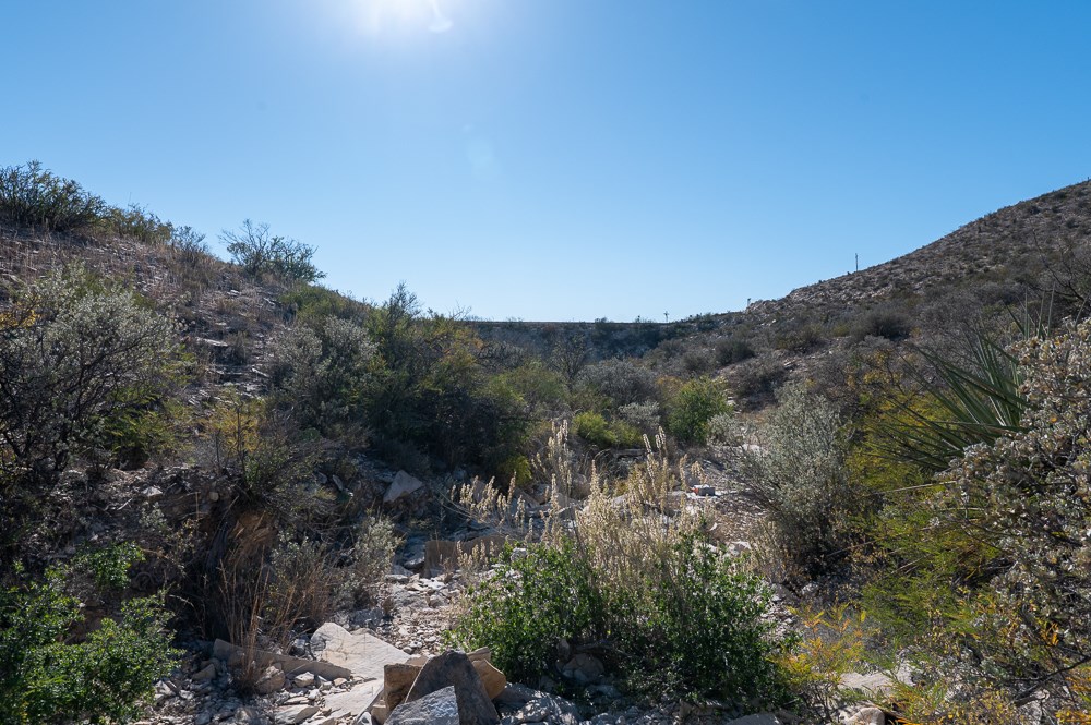Lot 31 Hargrove Winters Rd Property Photo 17