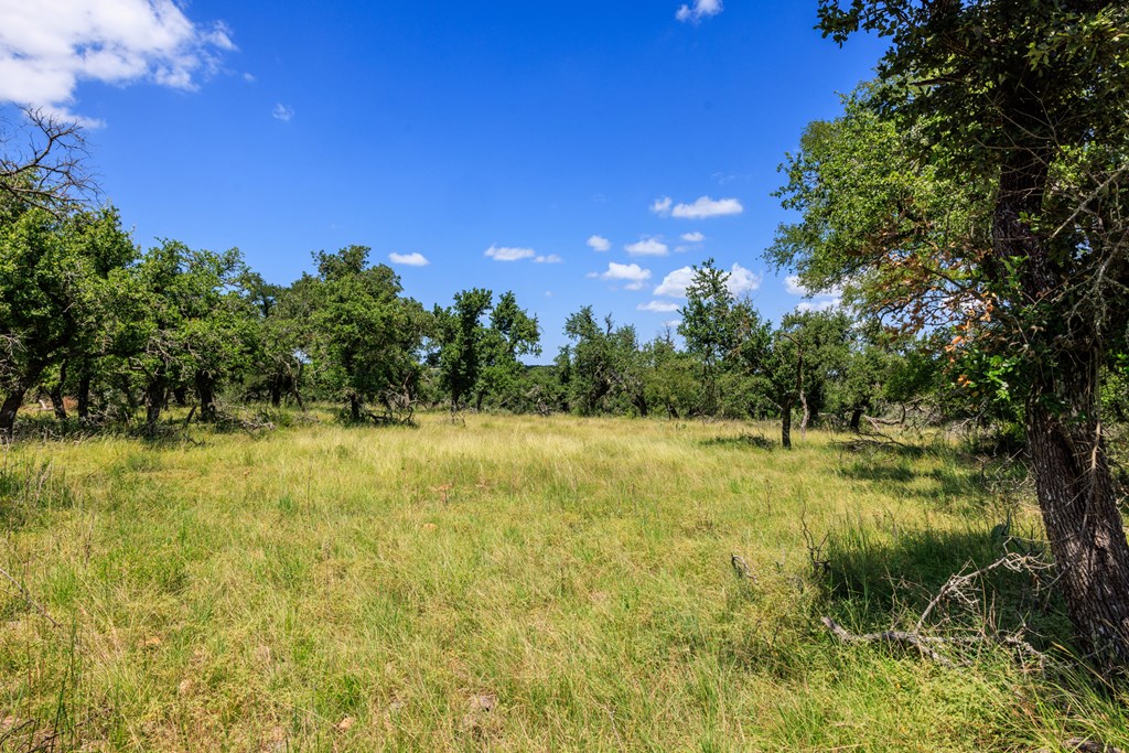 2656 Meier Rd Property Photo 13