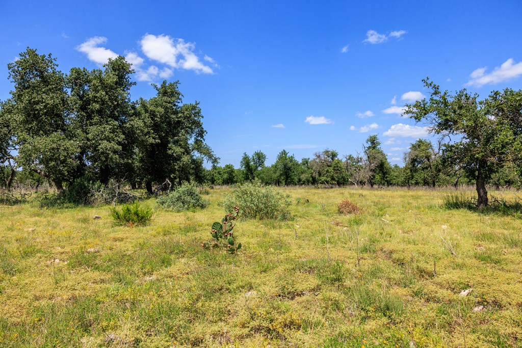 2656 Meier Rd Property Photo 14