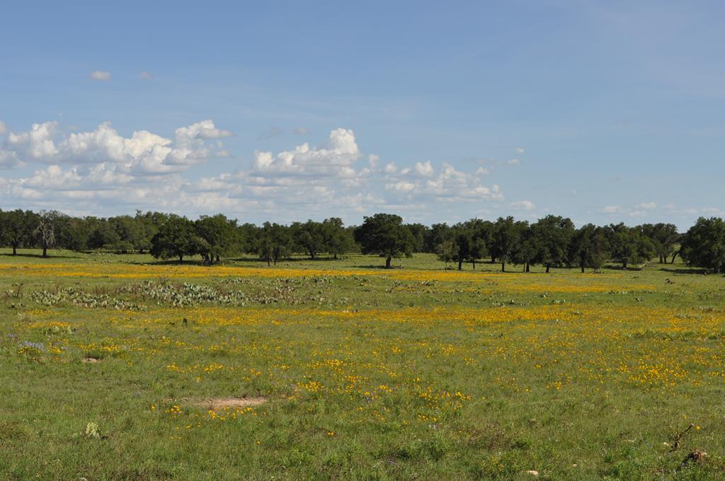 18043 Fm 479 Property Photo 1