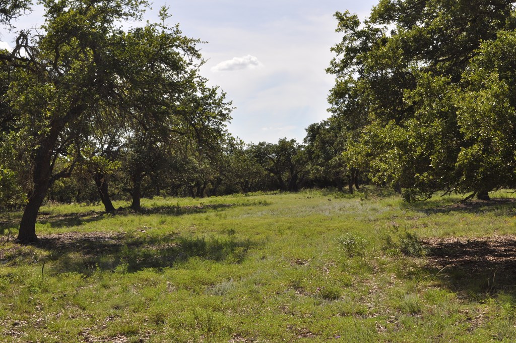 18043 Fm 479 Property Photo 3