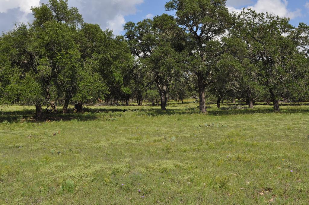 18043 Fm 479 Property Photo 5