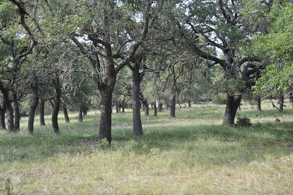 18043 Fm 479 Property Photo 1