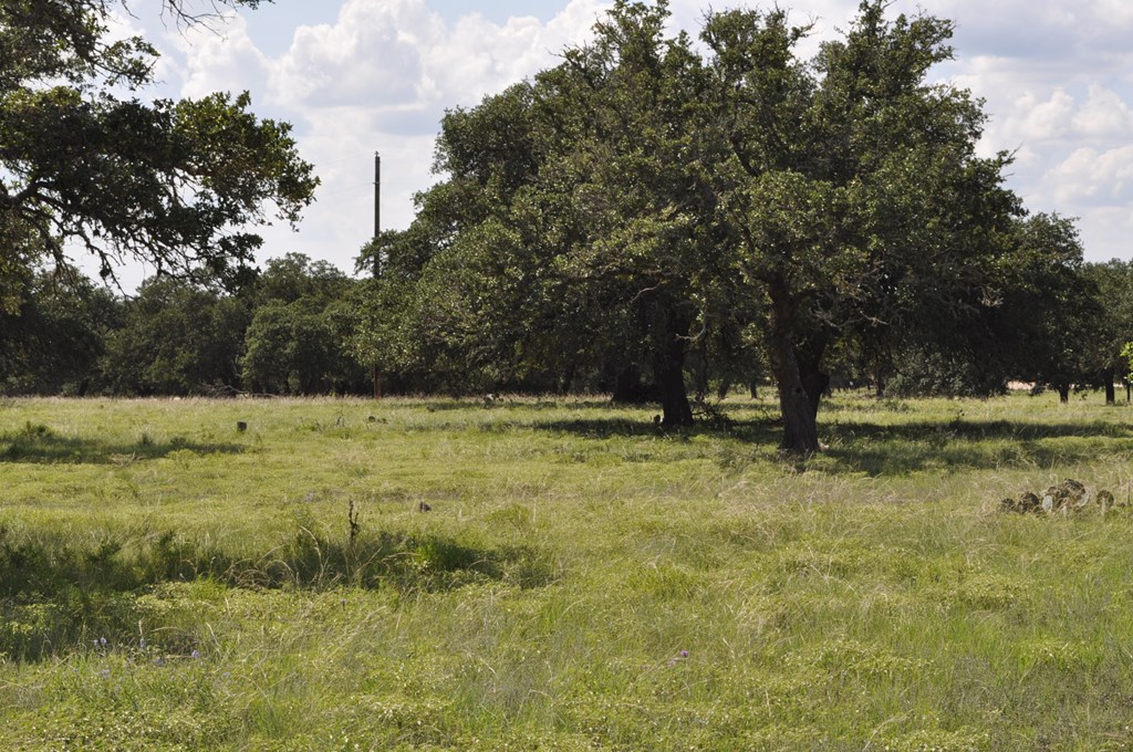18043 Fm 479 Property Photo 3