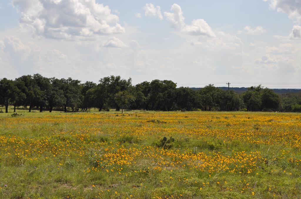 17987 Fm 479 Property Photo