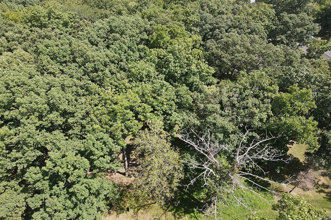 216 Beyers Lake Property Photo 14