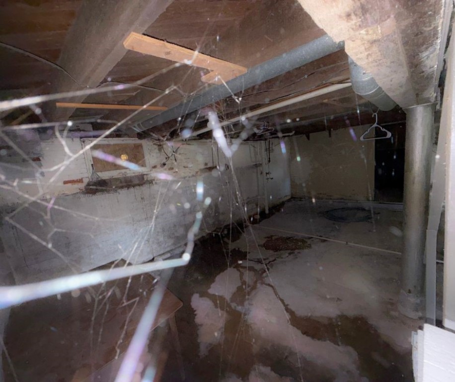508 S Webster Street Property Photo 22