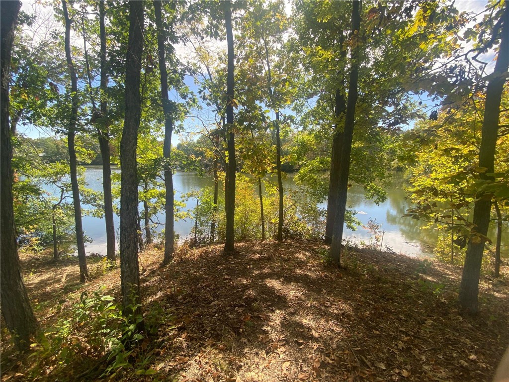 154 Beyers Lake Estate Property Photo 3