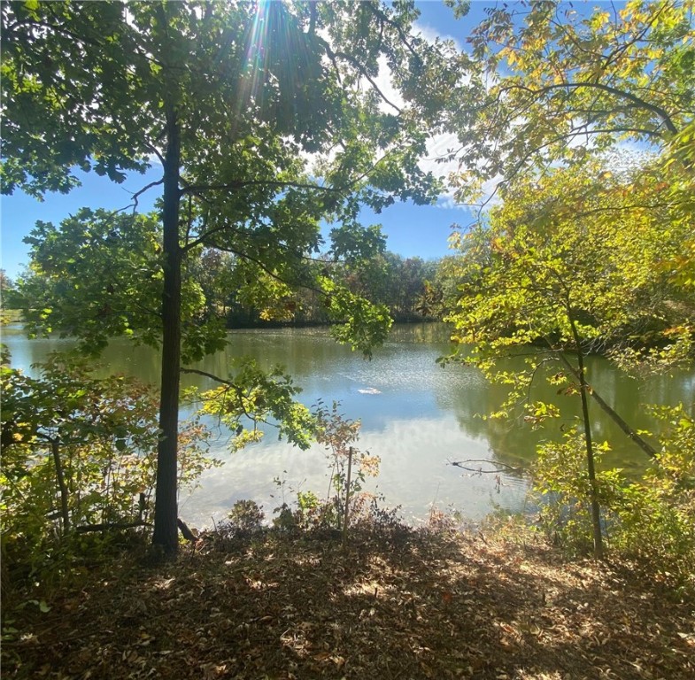 154 Beyers Lake Estate Property Photo 4