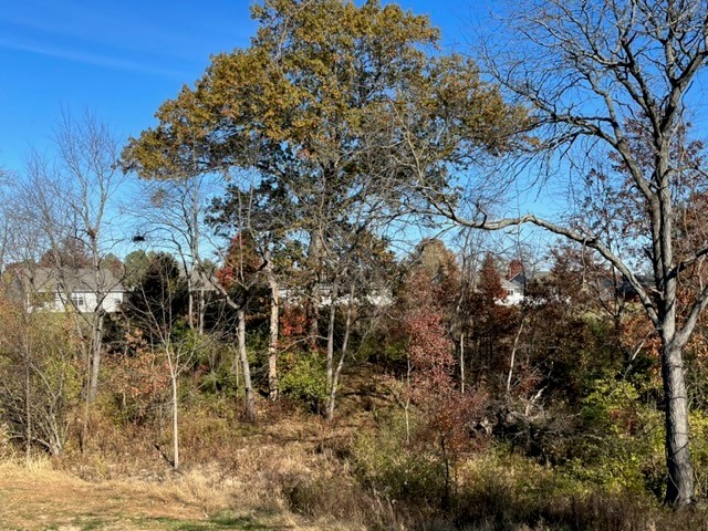 Blohm Avenue Property Photo 2