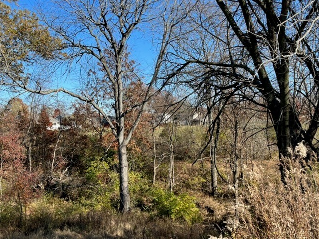 Blohm Avenue Property Photo 3