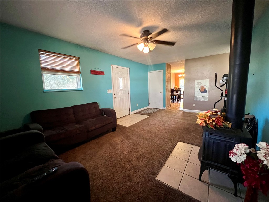 916 Blueridge Drive Property Photo 3