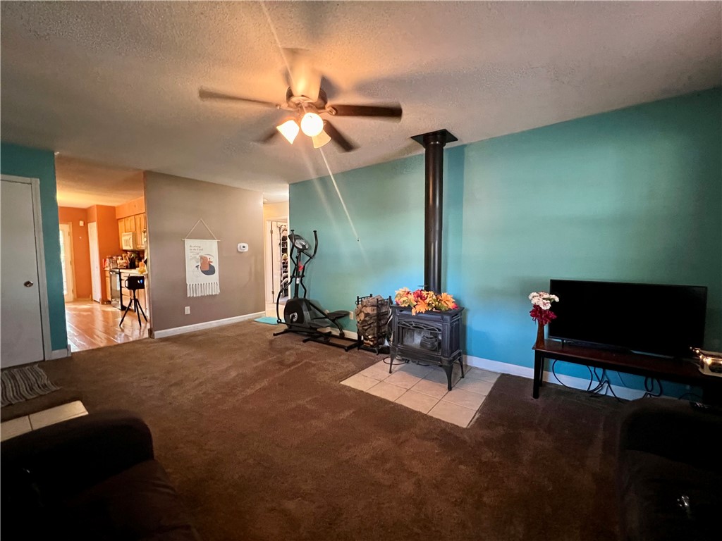 916 Blueridge Drive Property Photo 4