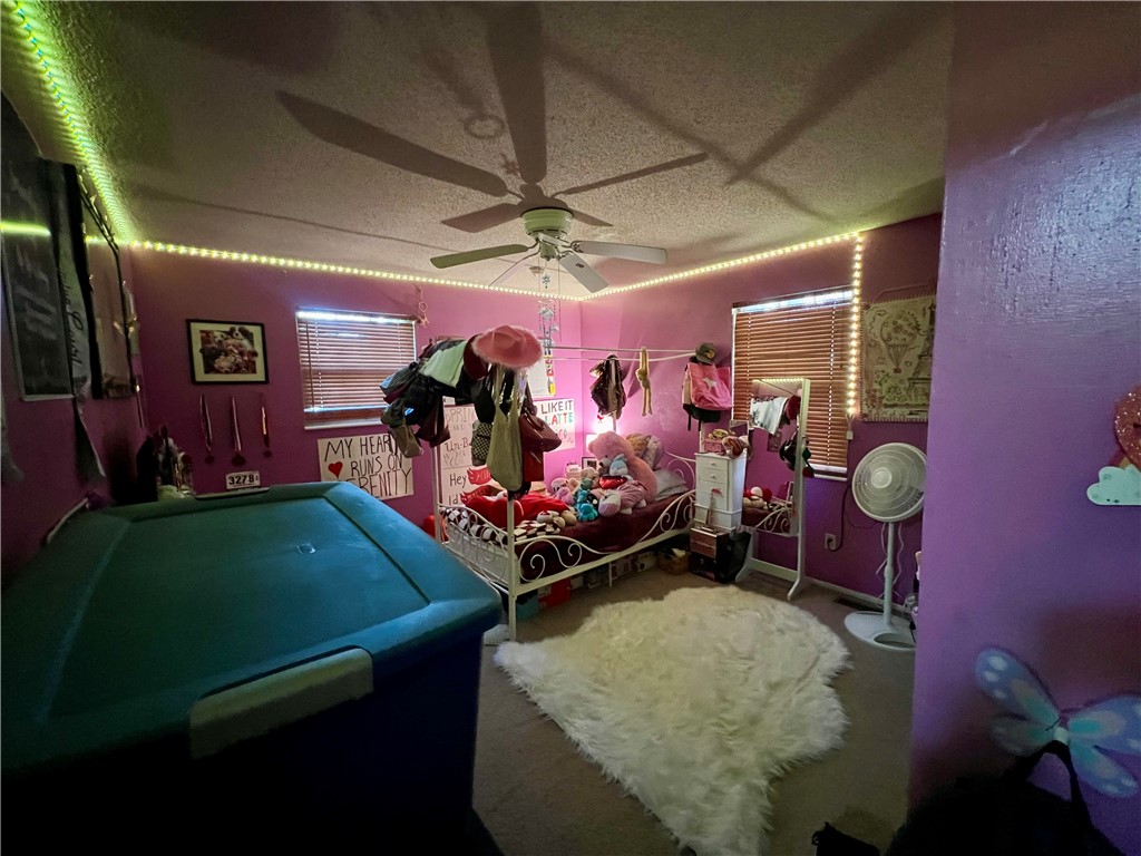 916 Blueridge Drive Property Photo 14