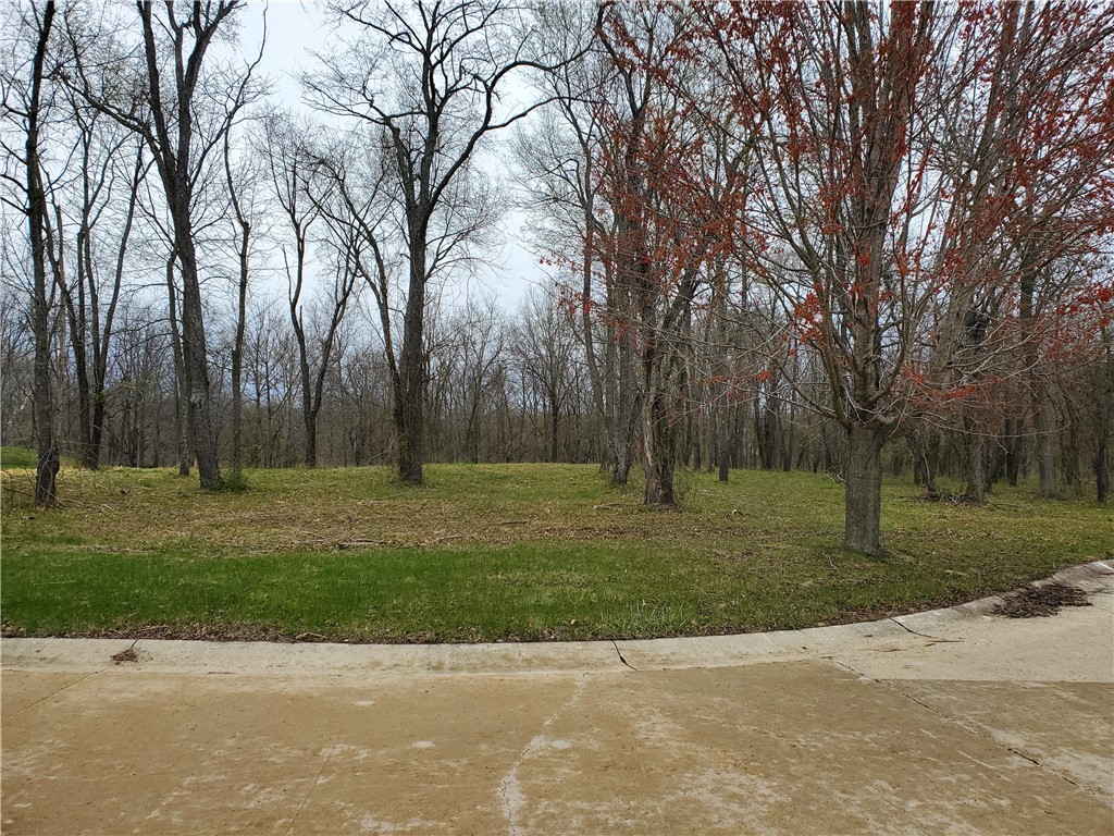 1250 Silver Leaf Court Property Photo