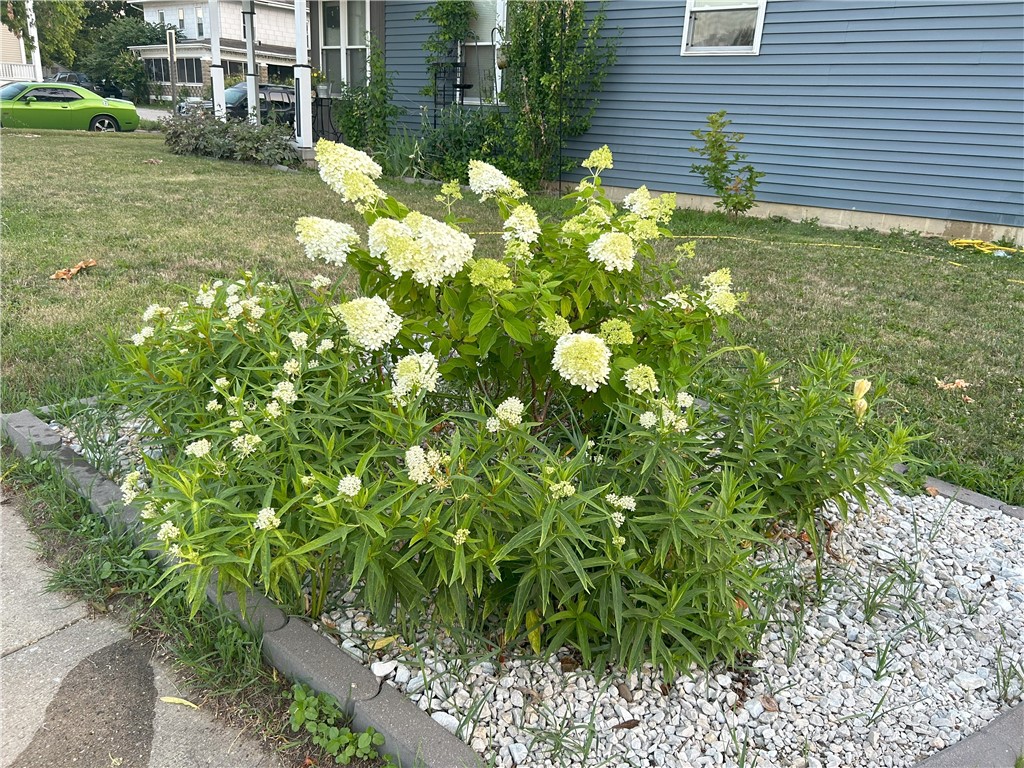 249 Jackson Avenue Property Photo 35