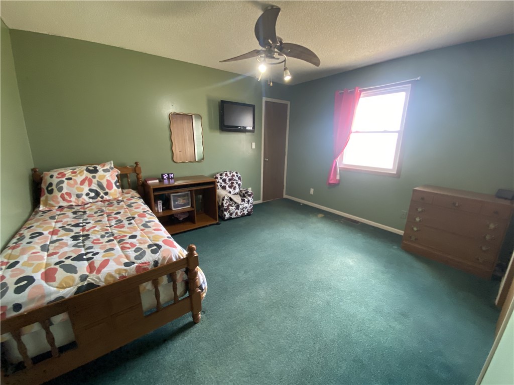 1038 County Road 550n Property Photo 21