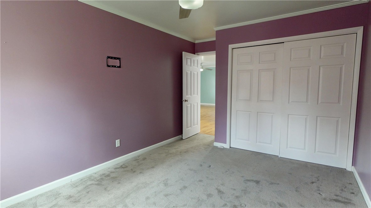 224 Cook Street Property Photo 15