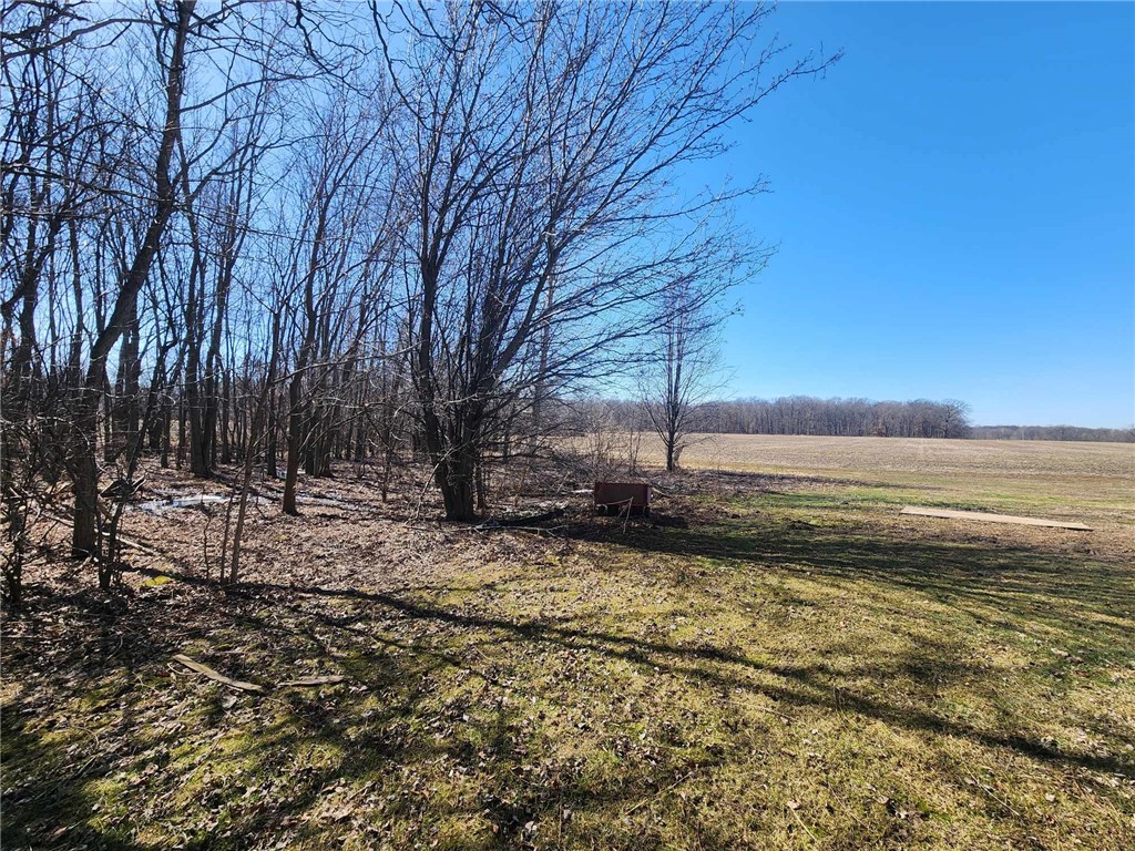 10331 N 1775th Road Property Photo 18