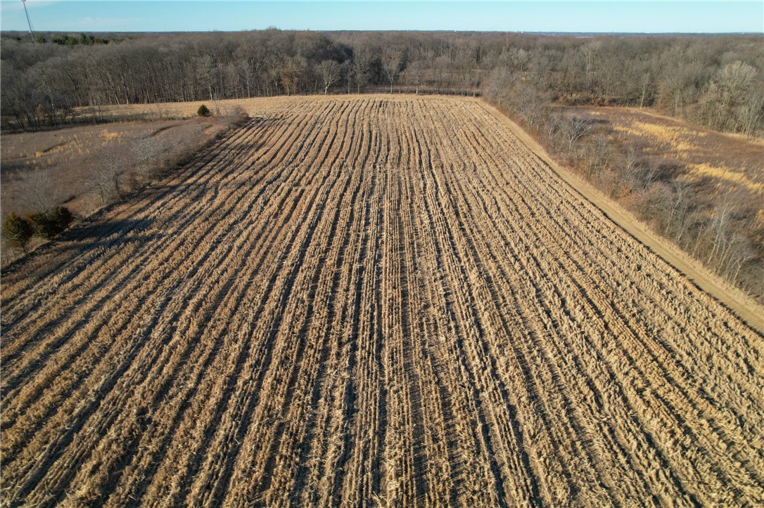 Tbd E 1290 N Road Property Photo 8