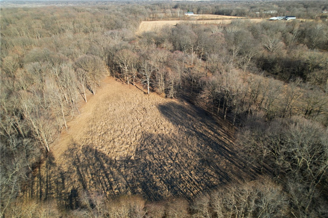 Tbd E 1290 N Road Property Photo 12