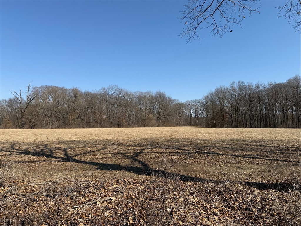 County Road 650 Property Photo 1