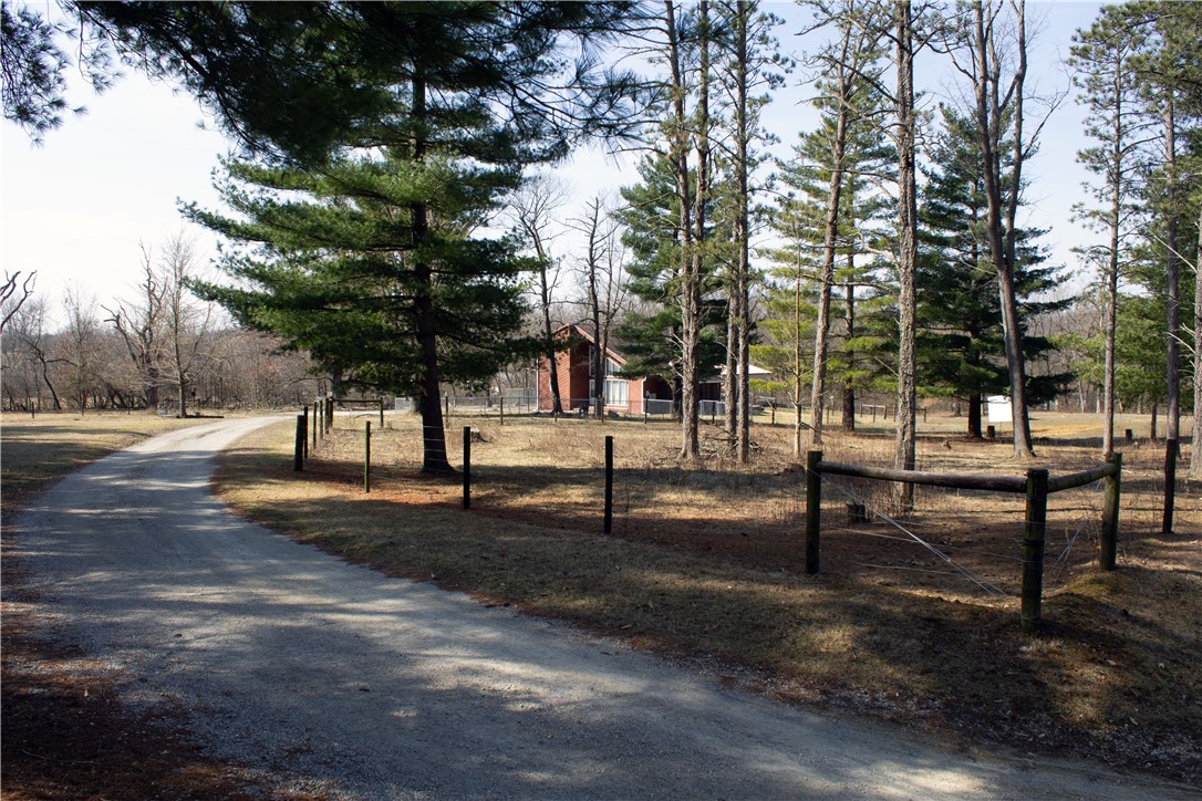 10093 Cabin Road Property Photo 5