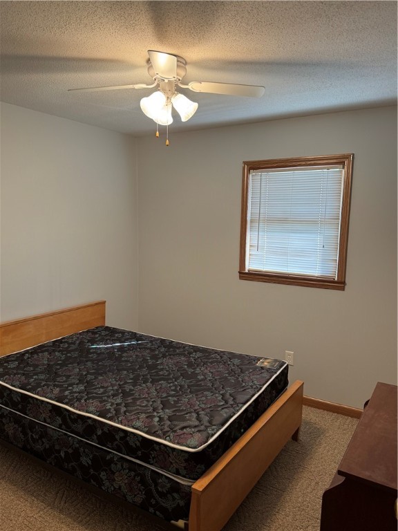 804 Halley Street Property Photo 11