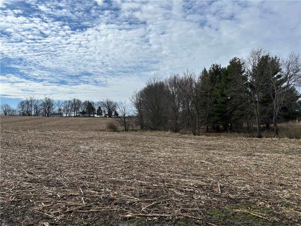9480 Caleb Road Property Photo 4