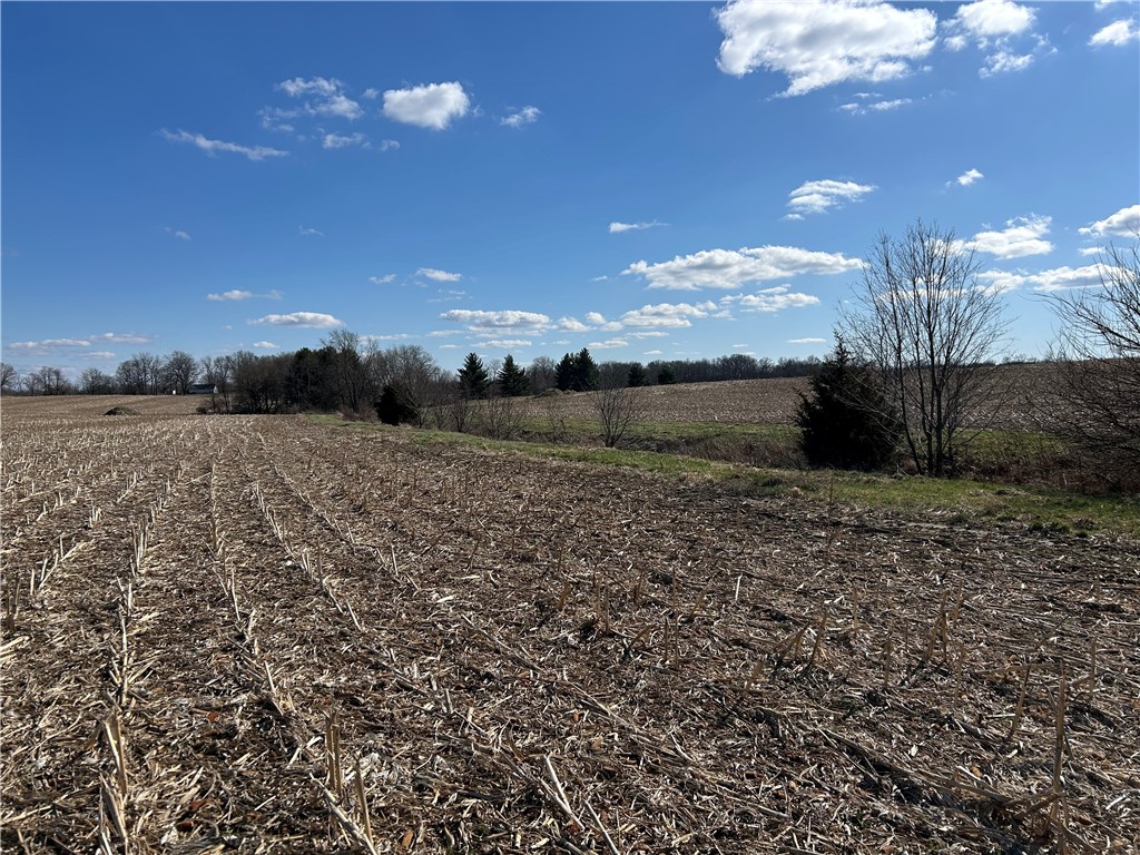 9480 Caleb Road Property Photo 8