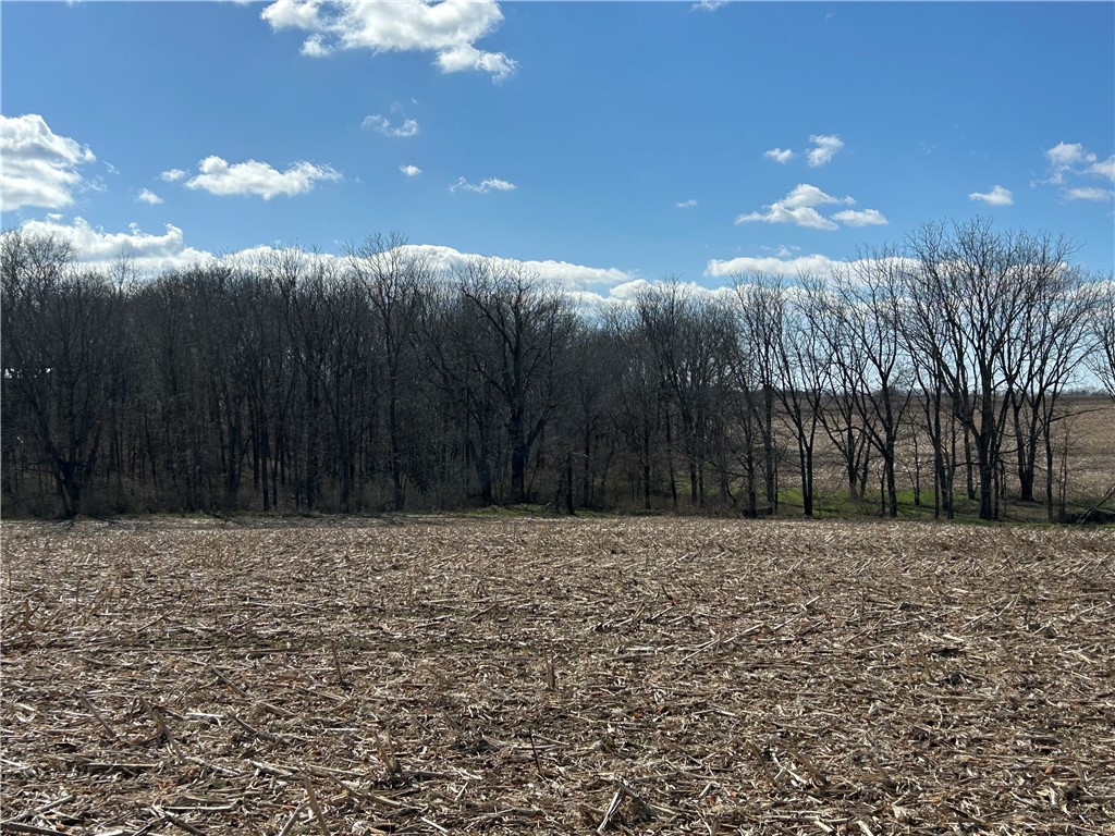 9480 Caleb Road Property Photo 35