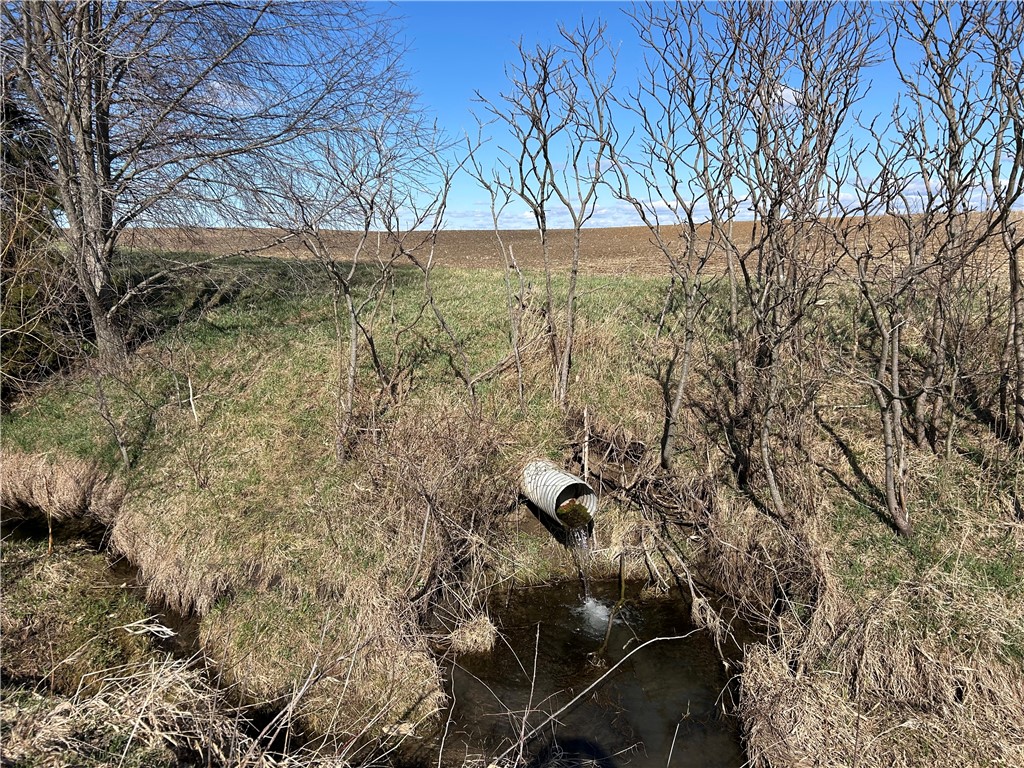 9480 Caleb Road Property Photo 37