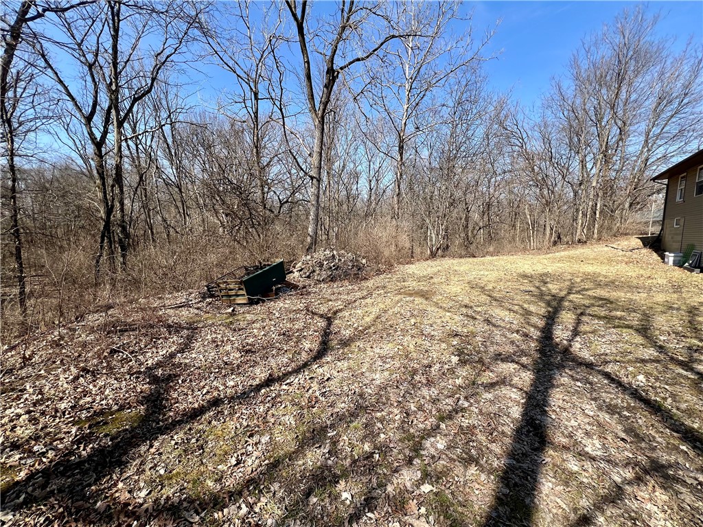 30552 Peaceful Court Property Photo 48