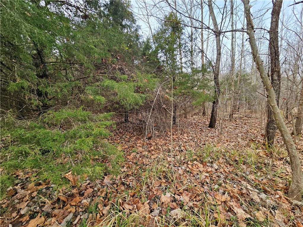 N Iron Bridge Road Property Photo 9