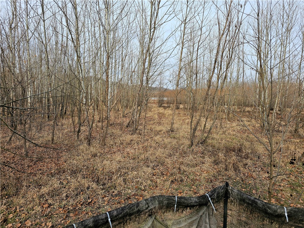 N Iron Bridge Road Property Photo 12
