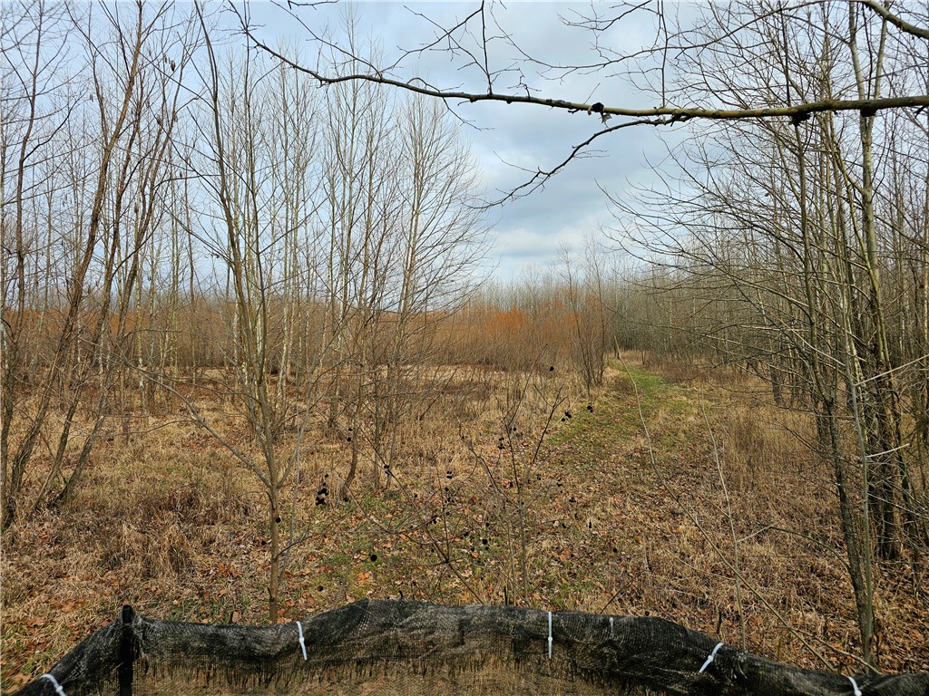 N Iron Bridge Road Property Photo 14