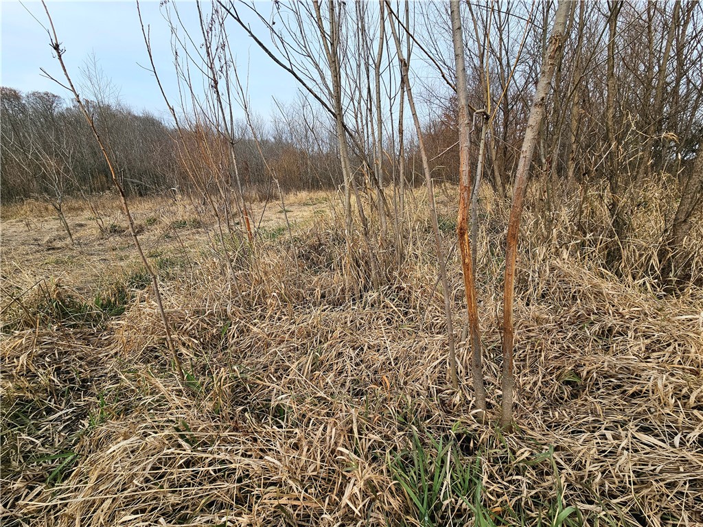N Iron Bridge Road Property Photo 19