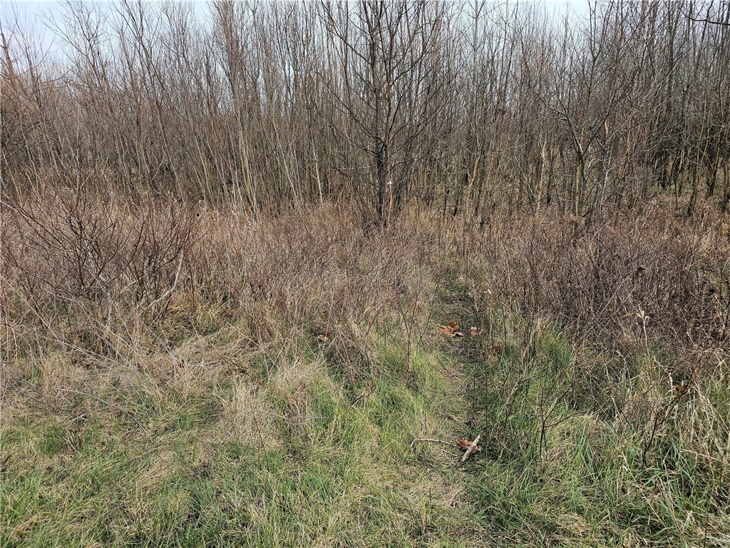 N Iron Bridge Road Property Photo 23