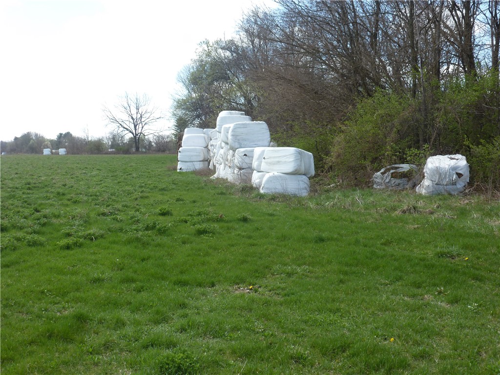 2851 W Salem Church Road Property Photo 4