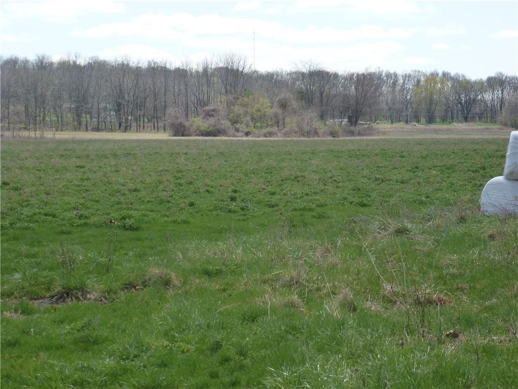 2851 W Salem Church Road Property Photo 5
