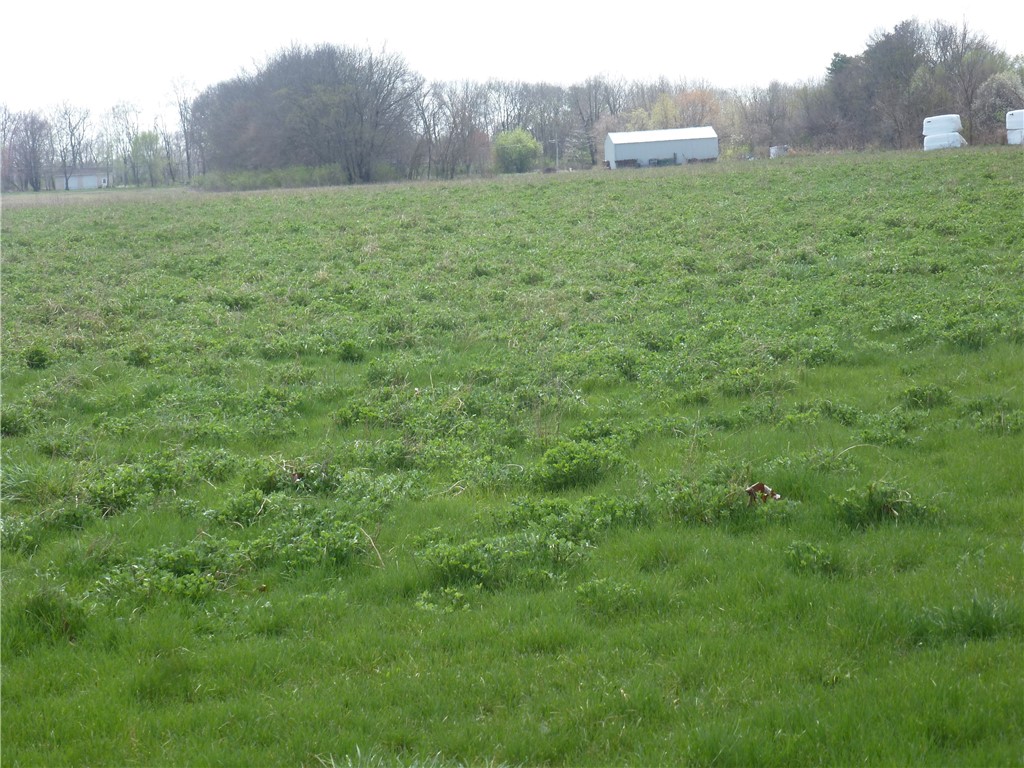 2851 W Salem Church Road Property Photo 7