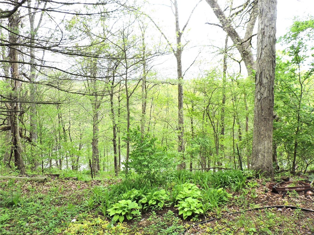 16093 Pollywog Lane Property Photo 11