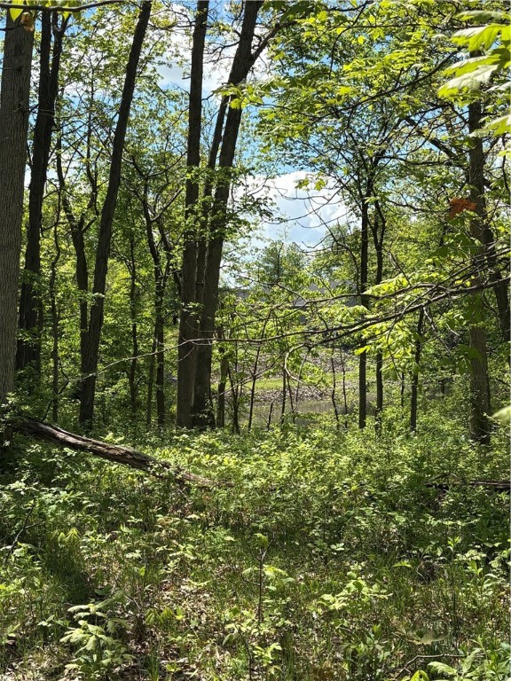 176 Beyers Lake Estate Property Photo 6