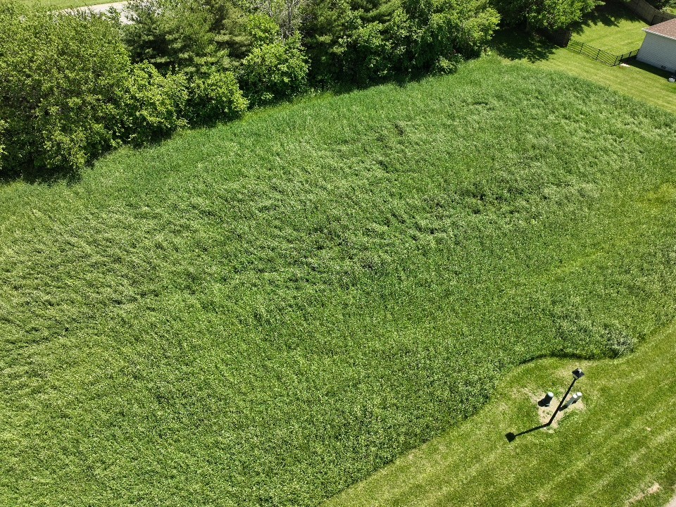 Lot 44 Edgewater Property Photo 1