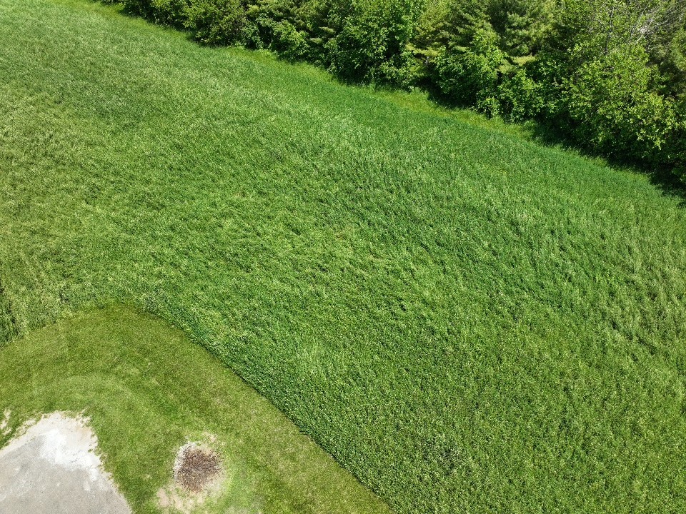 Lot 46 Edgewater Property Photo 3