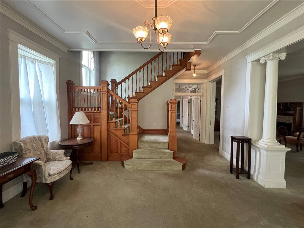 323 Olive Street Property Photo 7