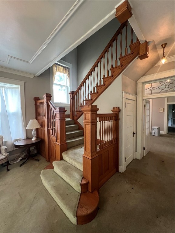 323 Olive Street Property Photo 8