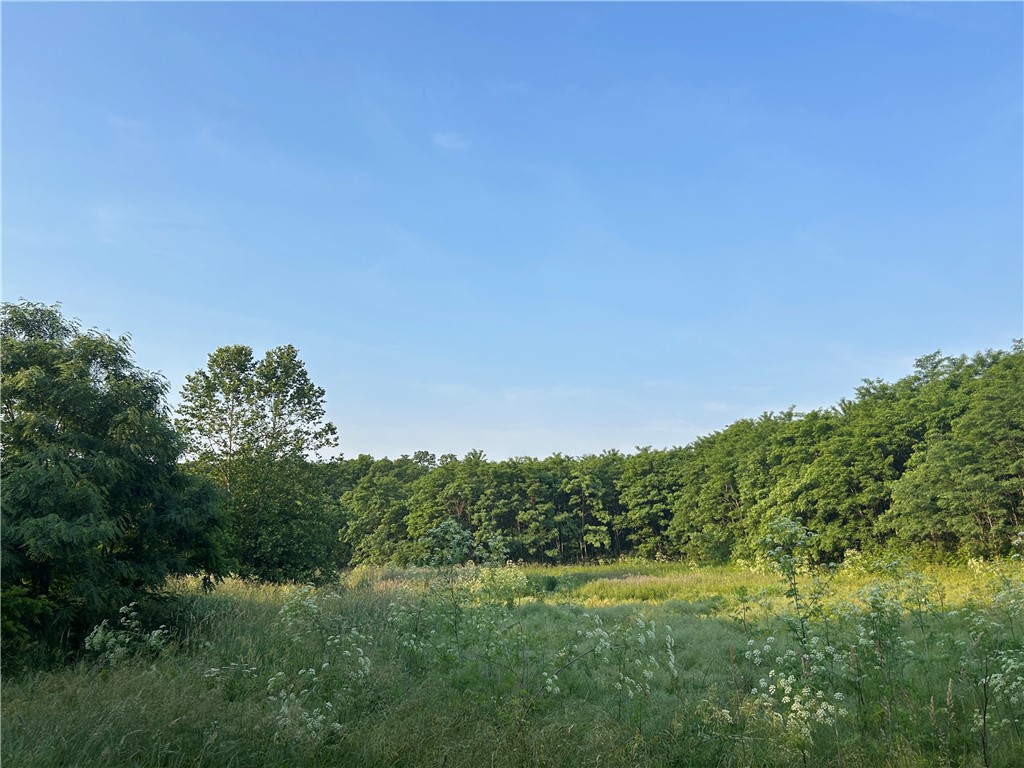 50 Acres Off Of Jordan Rd Property Photo