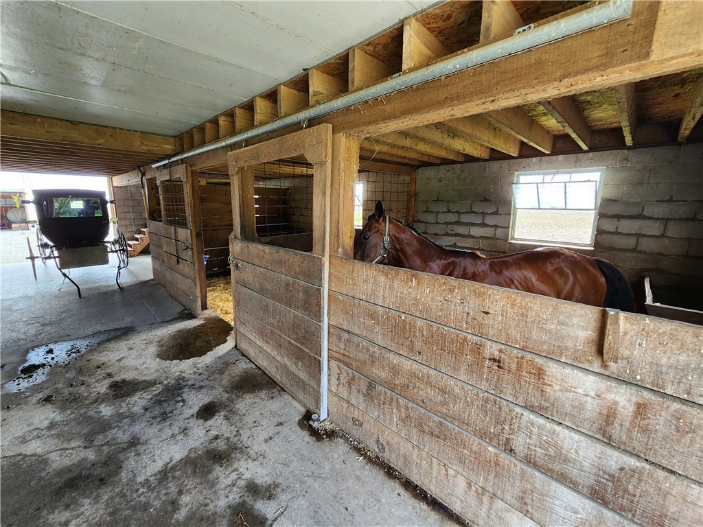 17204 N 125th Street Property Photo 27