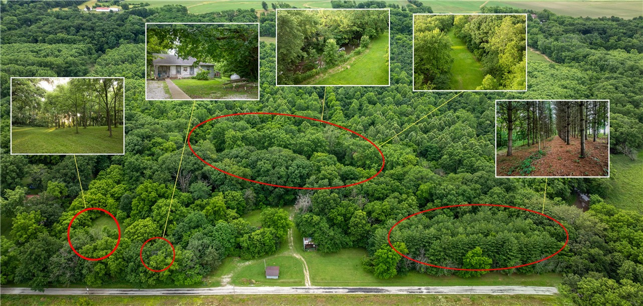 1229 N 1350 East Road Property Photo 1